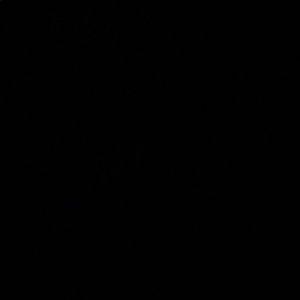 Meet your Posher, Benny